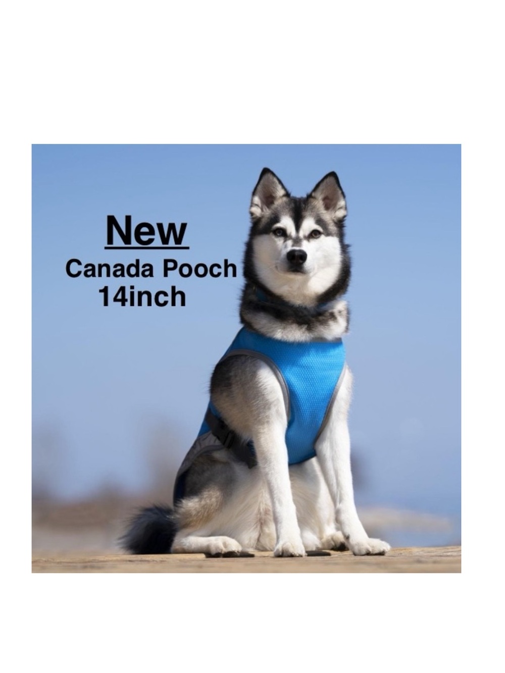 New Canada Pooch Chill Seeker Blue Cooling Vest blue 14’ with tags ⭐️⭐️⭐️⭐️